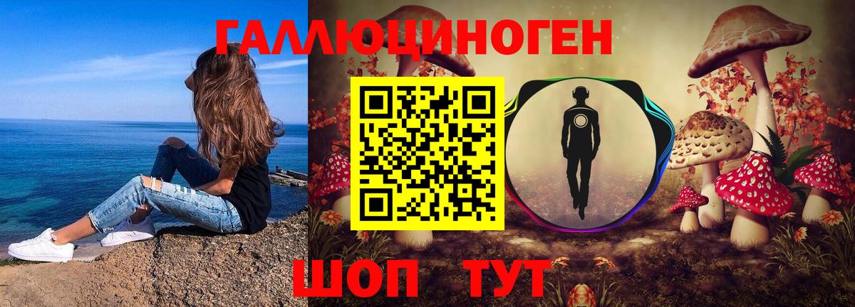 Галлюциногенные грибы Psilocybine cubensis Грозный